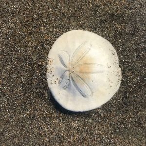 Meet your Posher, Andriy